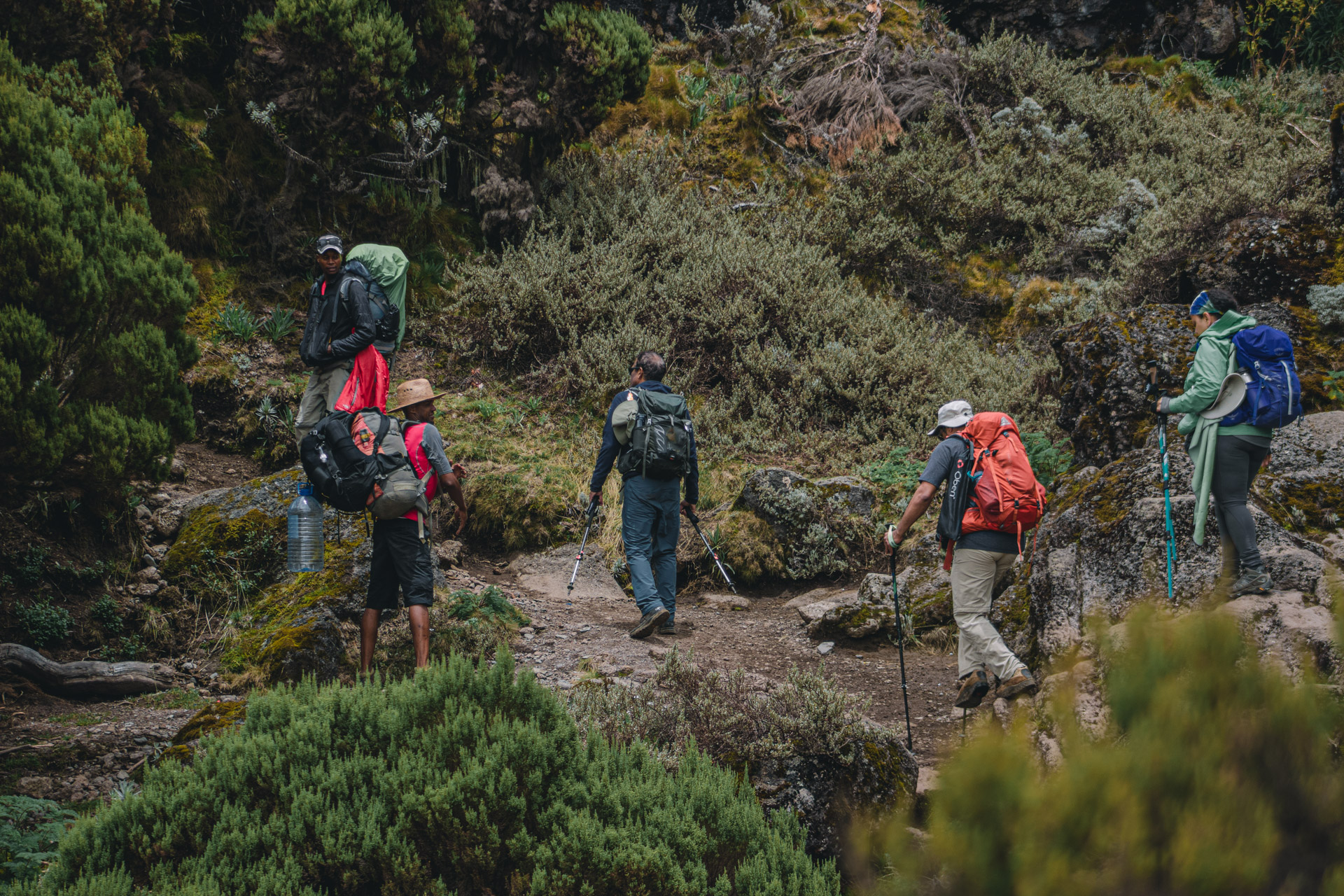 prime Kilimanjaro machame route