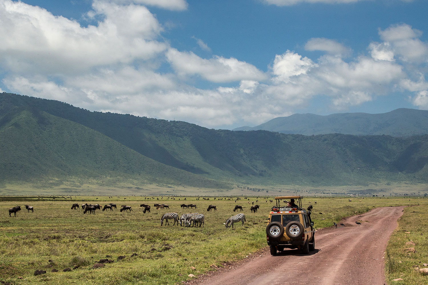 Prime Kilimanjaro car in Ngorongoro Crater