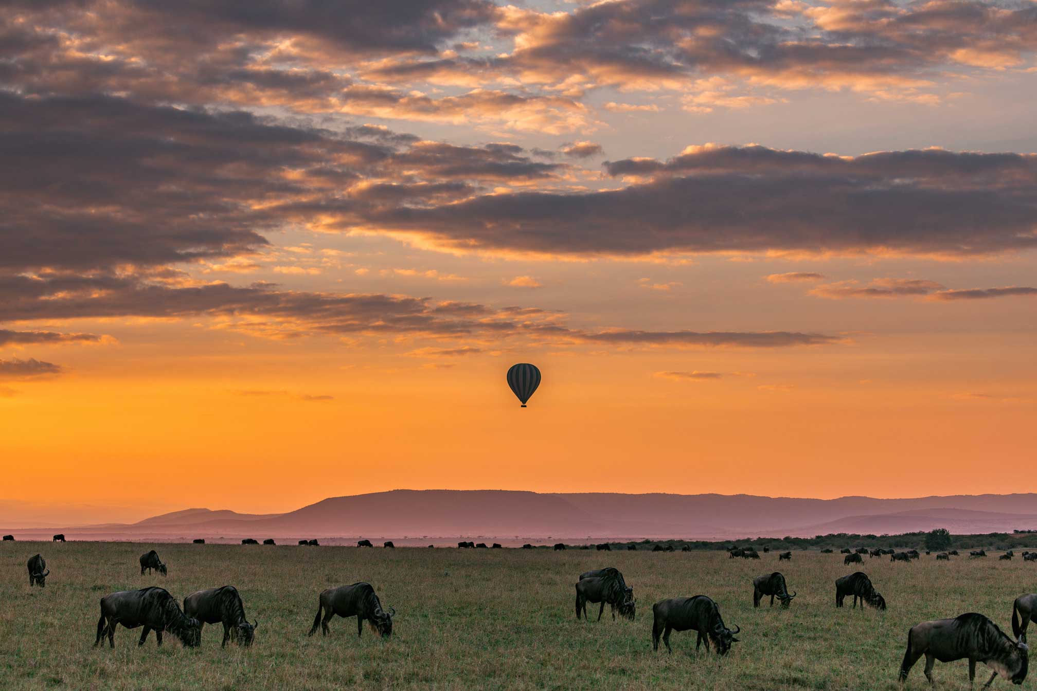 Serengeti balloon prime kilimanjaro