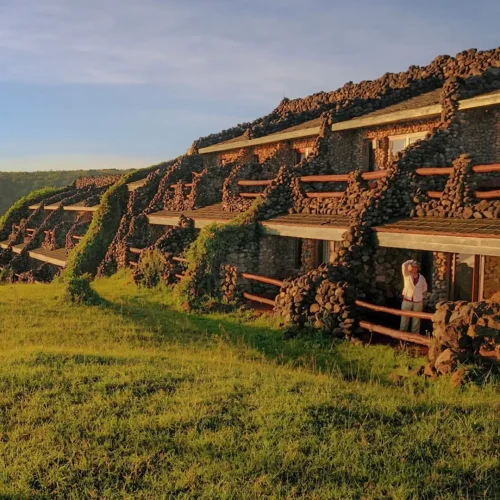 Ngorongoro-Serena-Lodge-Crater-Primekili