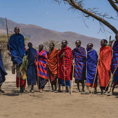 maasai tribe