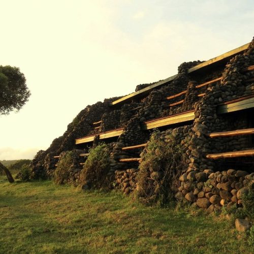 ngorongoro-serena-safari