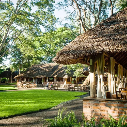 rivertrees_prime kili