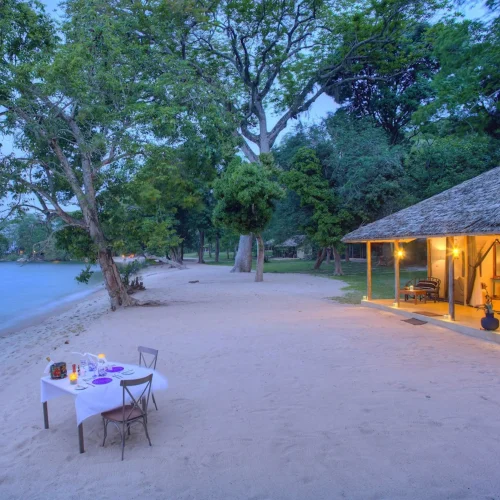 rubondo-island-camp prime kilimanjaro