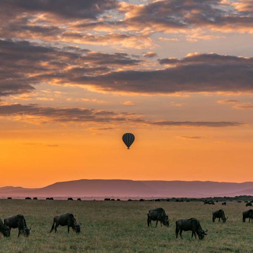 Serengeti balloon prime kilimanjaro